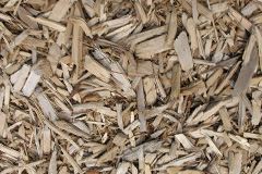biomass boilers White Oak